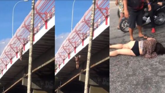 Mentally ill woman leaps from an overpass Photo 0001 Video Thumb
