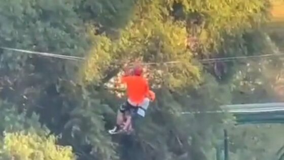 Six year old boy falls from a height of 12 meters while riding a zip line Photo 0001 Video Thumb