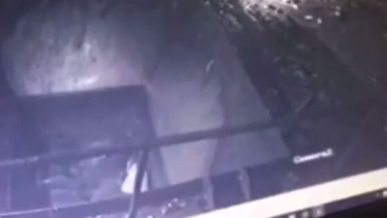 Someone fell into a scrap metal crushing machine Photo 0001 Video Thumb
