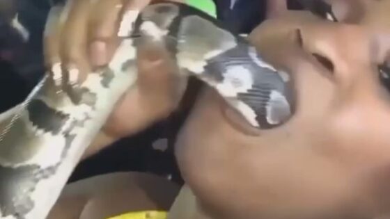 Woman puts live snake down her throat Photo 0001 Video Thumb