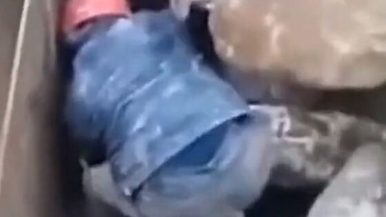 Worker falls into stonerock grinder and dies miserably Photo 0001 Video Thumb