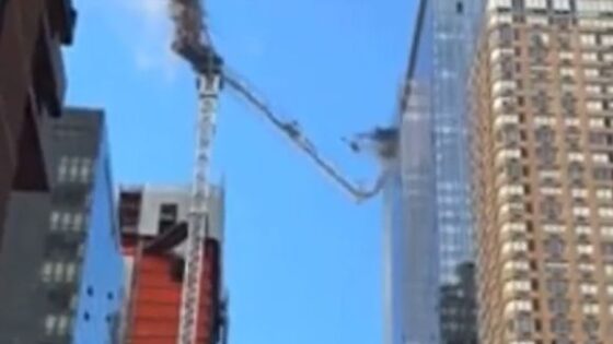 Crane that collapsed in nyc yesterday Photo 0001 Video Thumb