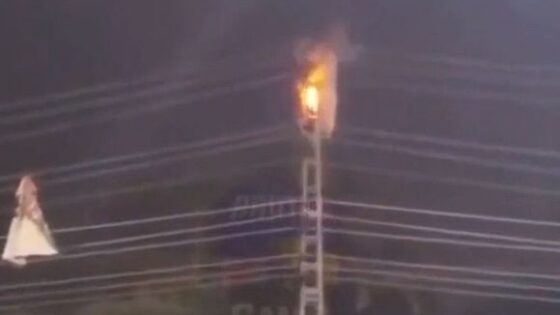 Man climbs electrical tower and dies from electrocution Photo 0001 Video Thumb