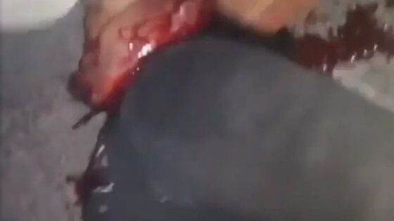 Rival gang member being beheaded with a knife Photo 0001 Video Thumb