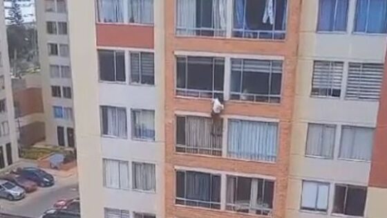 Young woman jump out of her apartment window Photo 0001 Video Thumb