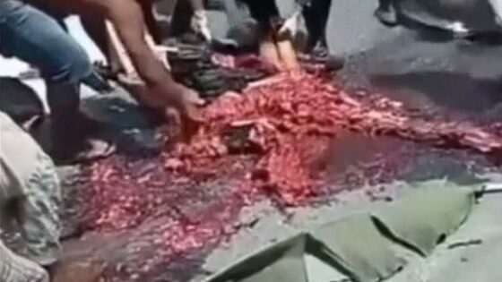 Dismembered meat in fatal accident in indonesia Photo 0001 Video Thumb