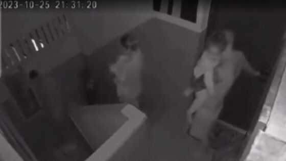 The israeli family goes to the bomb shelter and a few minutes later a rocket hits their house Photo 0001 Video Thumb