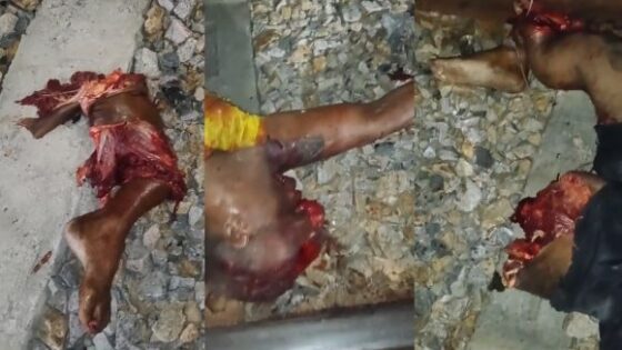 Body of man dismembered on the train line in brazil most likely victim of a train accident Photo 0001 Video Thumb