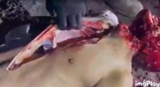 Cartels remove heart from victim Photo 0001 Video Thumb