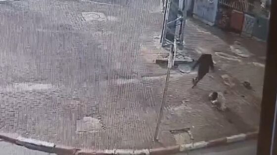 Pregnant palestinian woman is stabbed to death in the city of lod israel Photo 0001 Video Thumb