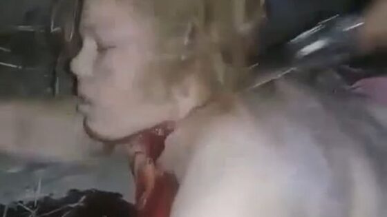Woman brutally beheaded with a kitchen knife in a brutal execution by cartel in mexico old but gold Photo 0001 Video Thumb