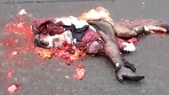 What appears to be a woman has become a pile of flesh crushed on the asphalt due to a traffic accident Photo 0001 Video Thumb