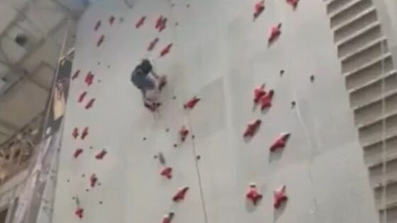 Man tries to climb wall without safety devices and falls to the ground Photo 0001 Video Thumb