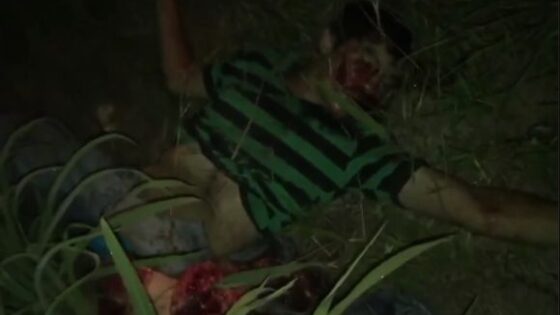 Traffic accident in brazil leaves motorcyclist dead in the middle of the forest Photo 0001 Video Thumb