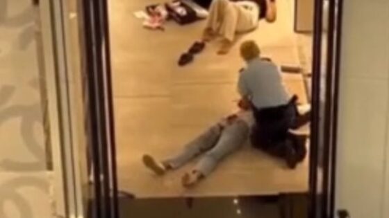 Five people are stabbed to death in an australian shopping center in a terrorist knife attack Photo 0001 Video Thumb
