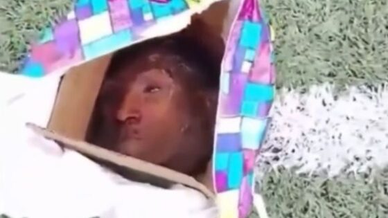 Gang members decapitated head found inside box Photo 0001 Video Thumb