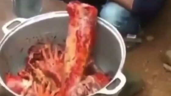 Human body parts inside cooking pot prepared by nigerian cannibals Photo 0001 Video Thumb