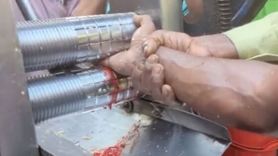 Man with his hand stuck in a meat grinder in a very sad accident at work Photo 0001 Video Thumb