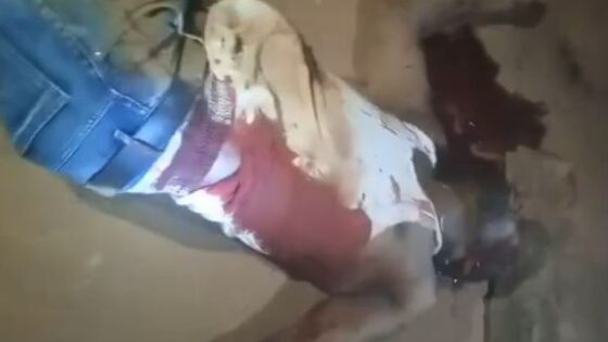 Nigerian man shot dead by local gang member Photo 0001 Video Thumb