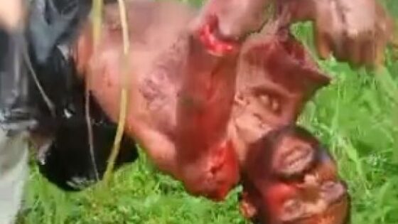 Partially dismembered man being carried in a painful way in brutal torture until his death Photo 0001 Video Thumb