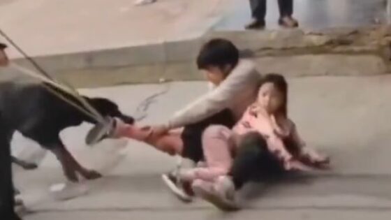 Poor girl attacked by dog ​​in china Photo 0001 Video Thumb