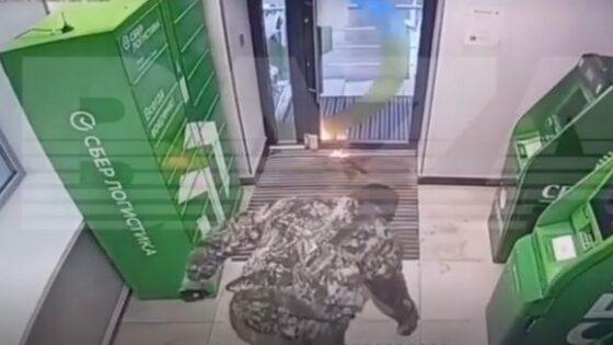 Unknown person wearing a mask planted a bomb in an atm and set it on fire in russia did the robbery work Photo 0001 Video Thumb