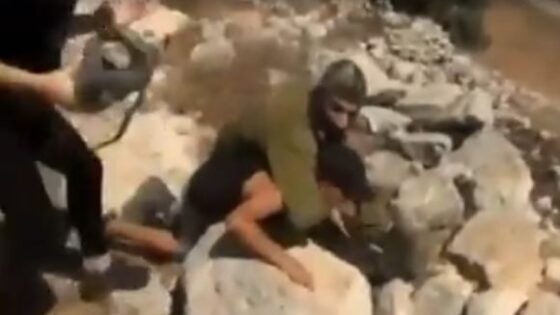 Watch the israeli violence of a zionist soldier trying to kill a palestinian child before his family arrived and then throws a tear gas bomb at them Photo 0001 Video Thumb
