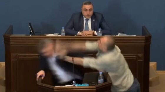 Wild scene in georgias parliament after a party leader is punched in the face by the opposition with that a big fight starts Photo 0001 Video Thumb