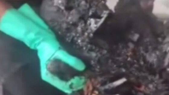 A charred body being recovered from the scene by rescue Photo 0001 Video Thumb