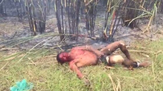 Dude is burned alive in brazil reasons still unknown Photo 0001 Video Thumb