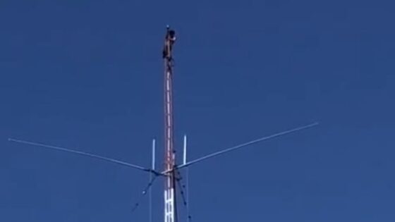 Man falls from tower and dies miserably when he falls to the ground has he lost his mind Photo 0001 Video Thumb