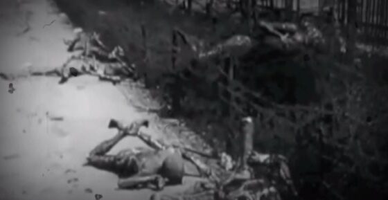 Some real footage from the second world war humanity has always been rotten Photo 0001 Video Thumb