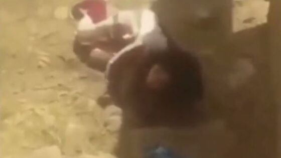 Syrian girl executed by machine gun in syria for reasons still unknown Photo 0001 Video Thumb