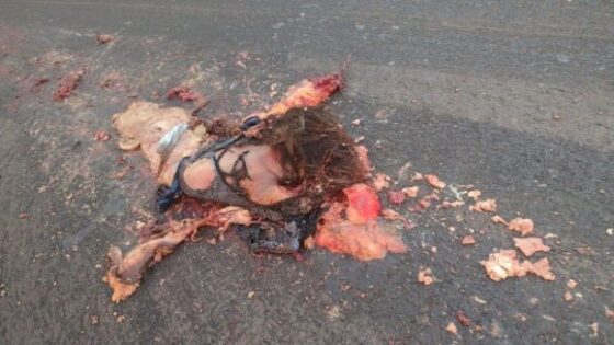 This pile of meat was supposed to be a human but when it was run over it turned into ground meat on the road in brazil Photo 0001 Video Thumb