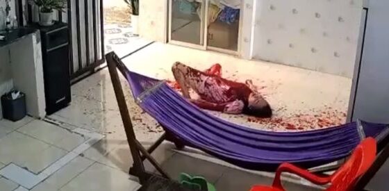 Woman has her neck cut with a knife in vietnam by her husband and dies miserably as she tries to scream but cant Photo 0001 Video Thumb