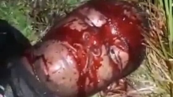 Man executed with an axe wheezing insanely Photo 0001 Video Thumb