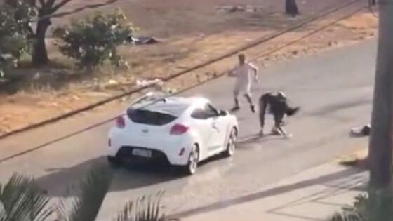 Man vs woman fight in broad daylight who wins Photo 0001 Video Thumb