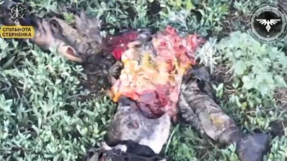 Soldier crawling on the battlefield becomes minced meat when he is blown up by a drone in the russia vs ukraine war Photo 0001 Video Thumb