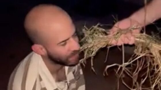A man in argentina turns into a horse in a mysterious way Photo 0001 Video Thumb