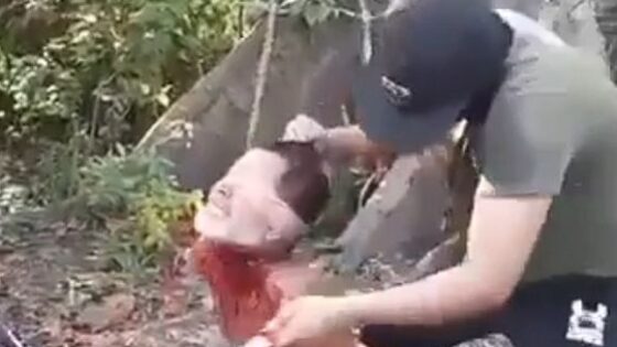 Swift execution and beheading of blindfolded man by a cartel Photo 0001 Video Thumb