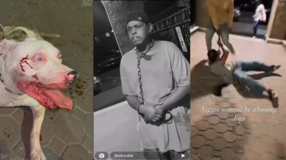 Animal warning dog abuser was beaten and dragged after being caught abusing his own dog Photo 0001 Video Thumb