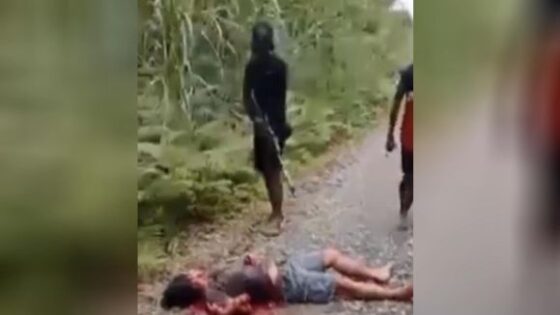 Armed criminal group kkb executes truck driver in papua for reasons still unknown Photo 0001 Video Thumb