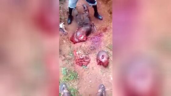 Brutal dismemberment of rival faction members in nigeria Photo 0001 Video Thumb