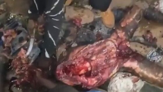 Cannibals in africa the most primitive human beings Photo 0001 Video Thumb