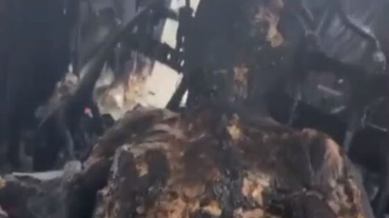 Drug dealer is burned alive inside a car in brazil and turns into charcoal Photo 0001 Video Thumb