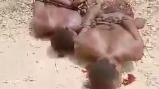 Gang members are lynched and brutalized in haiti Photo 0001 Video Thumb