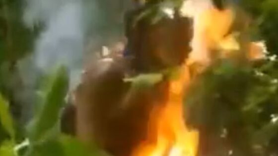 Man burned alive in haiti in the middle of the forest Photo 0001 Video Thumb
