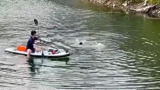 Person drowns and sinks while people watch and rescue guard lacks skill in china Photo 0001 Video Thumb
