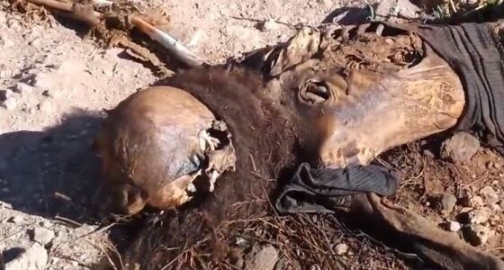 Rotting decomposing body of dead woman in brazil Photo 0001 Video Thumb