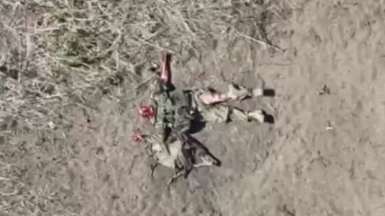 Soldier swallows grenade and kills himself after being hit by drone during russia vs ukraine war Photo 0001 Video Thumb